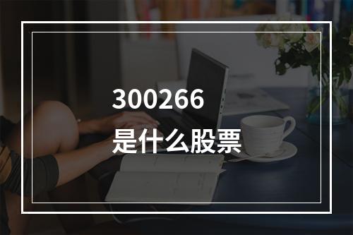 300266是什么股票