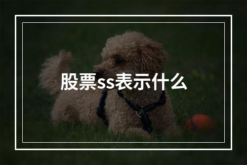 股票ss表示什么