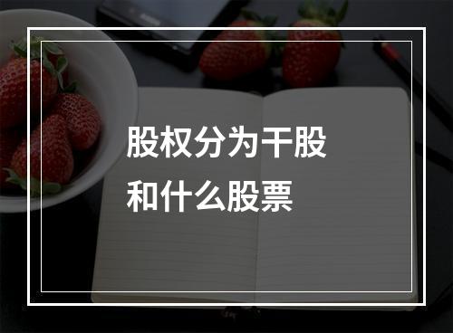 股权分为干股和什么股票