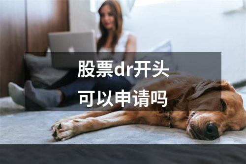 股票dr开头可以申请吗