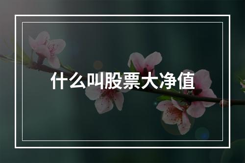 什么叫股票大净值