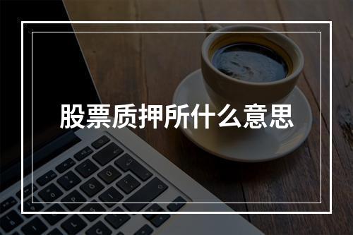 股票质押所什么意思