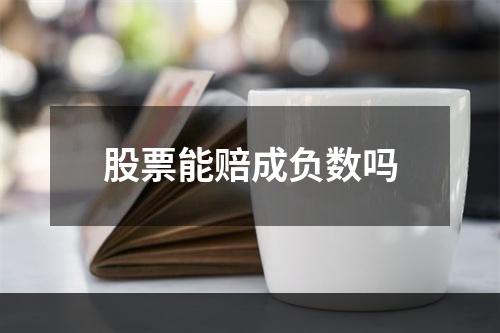 股票能赔成负数吗