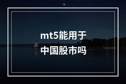 mt5能用于中国股市吗