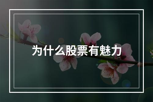 为什么股票有魅力