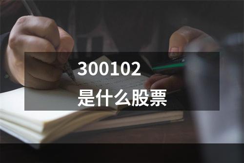 300102是什么股票