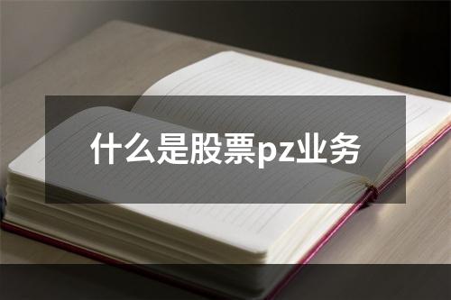 什么是股票pz业务