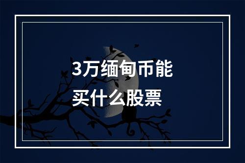 3万缅甸币能买什么股票