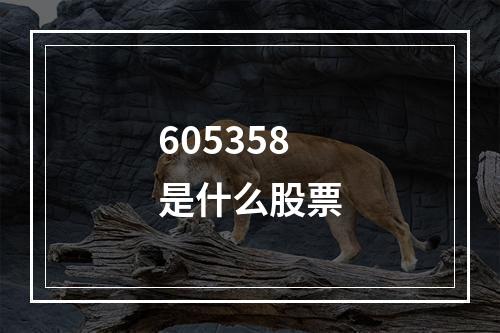 605358是什么股票