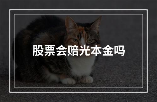 股票会赔光本金吗