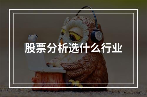 股票分析选什么行业