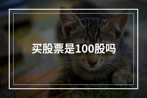 买股票是100股吗