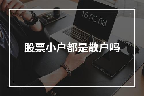 股票小户都是散户吗