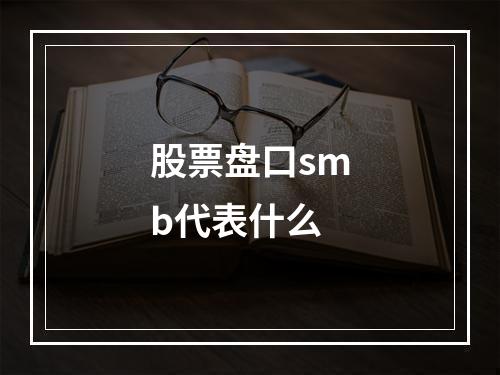 股票盘口smb代表什么