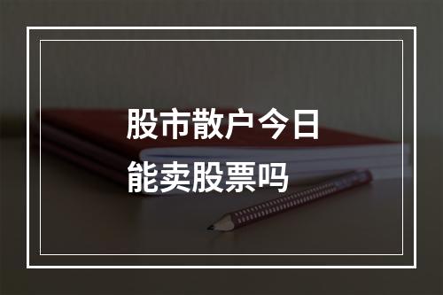 股市散户今日能卖股票吗