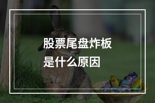 股票尾盘炸板是什么原因