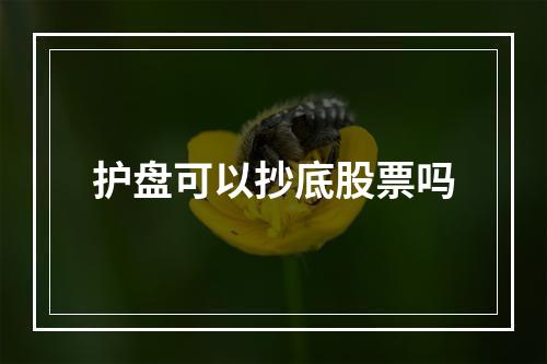 护盘可以抄底股票吗