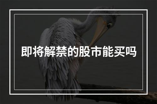 即将解禁的股市能买吗