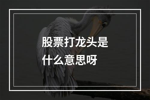 股票打龙头是什么意思呀