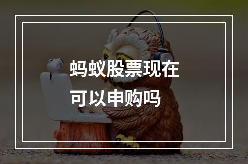 蚂蚁股票现在可以申购吗