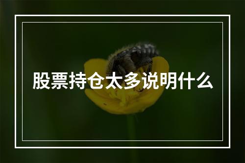 股票持仓太多说明什么