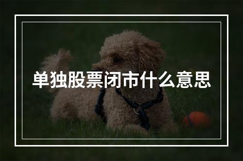 单独股票闭市什么意思