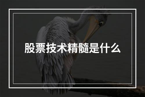 股票技术精髓是什么