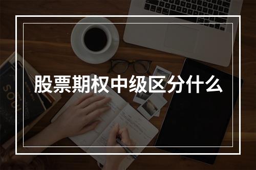 股票期权中级区分什么