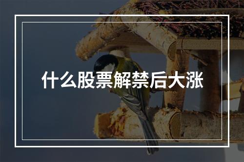 什么股票解禁后大涨