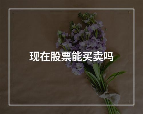 现在股票能买卖吗