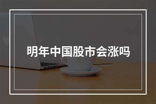 明年中国股市会涨吗