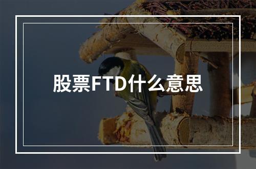 股票FTD什么意思