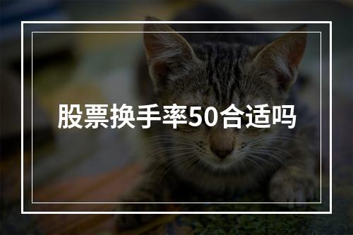 股票换手率50合适吗