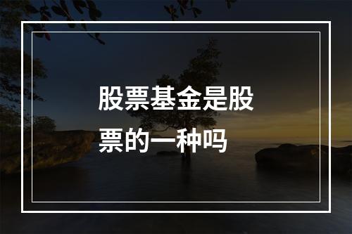 股票基金是股票的一种吗