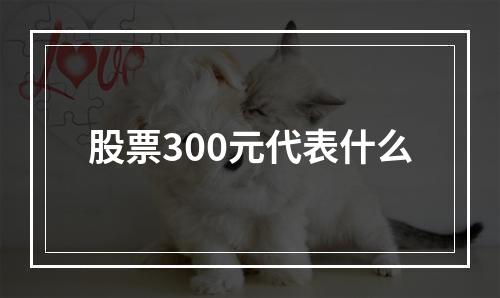 股票300元代表什么