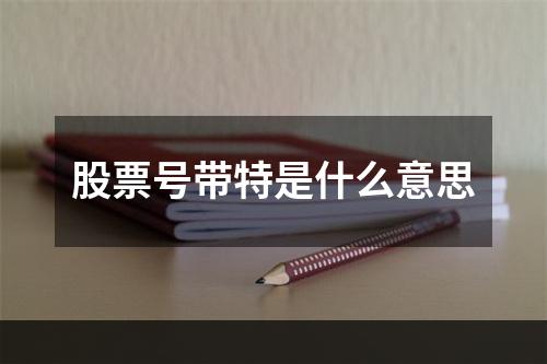 股票号带特是什么意思