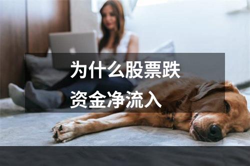 为什么股票跌资金净流入