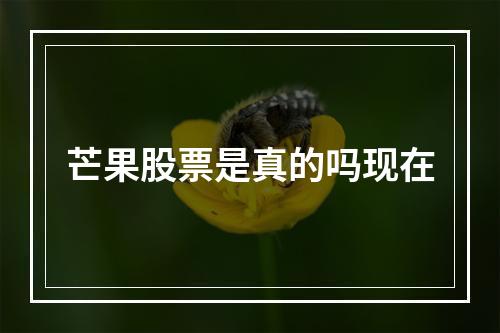 芒果股票是真的吗现在