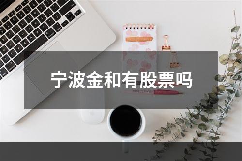 宁波金和有股票吗