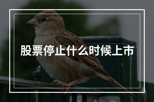 股票停止什么时候上市