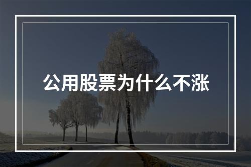 公用股票为什么不涨