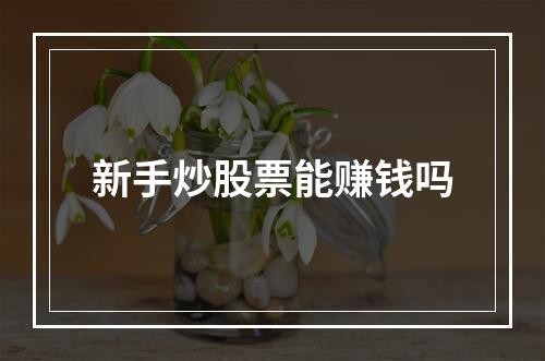 新手炒股票能赚钱吗