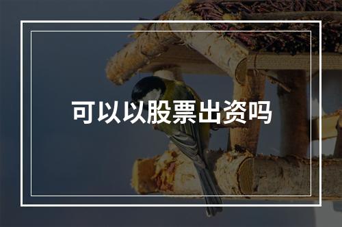 可以以股票出资吗