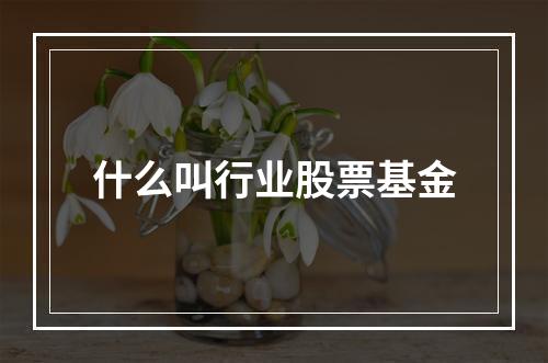 什么叫行业股票基金