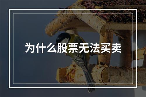 为什么股票无法买卖