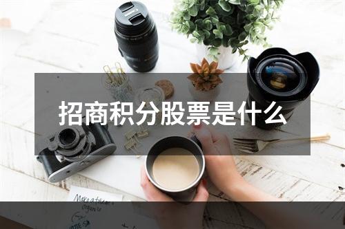 招商积分股票是什么