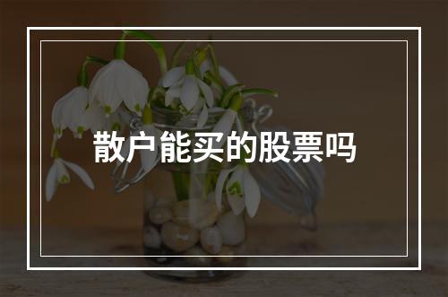 散户能买的股票吗