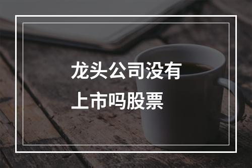 龙头公司没有上市吗股票