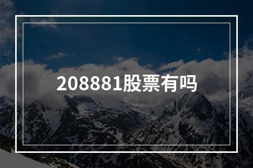 208881股票有吗