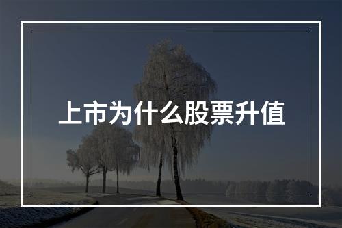 上市为什么股票升值